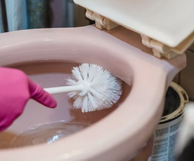 toilet cleaning 3